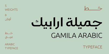 Пример шрифта Gamila Arabic W05 Medium