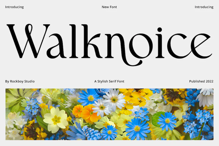 Пример шрифта Walknoice