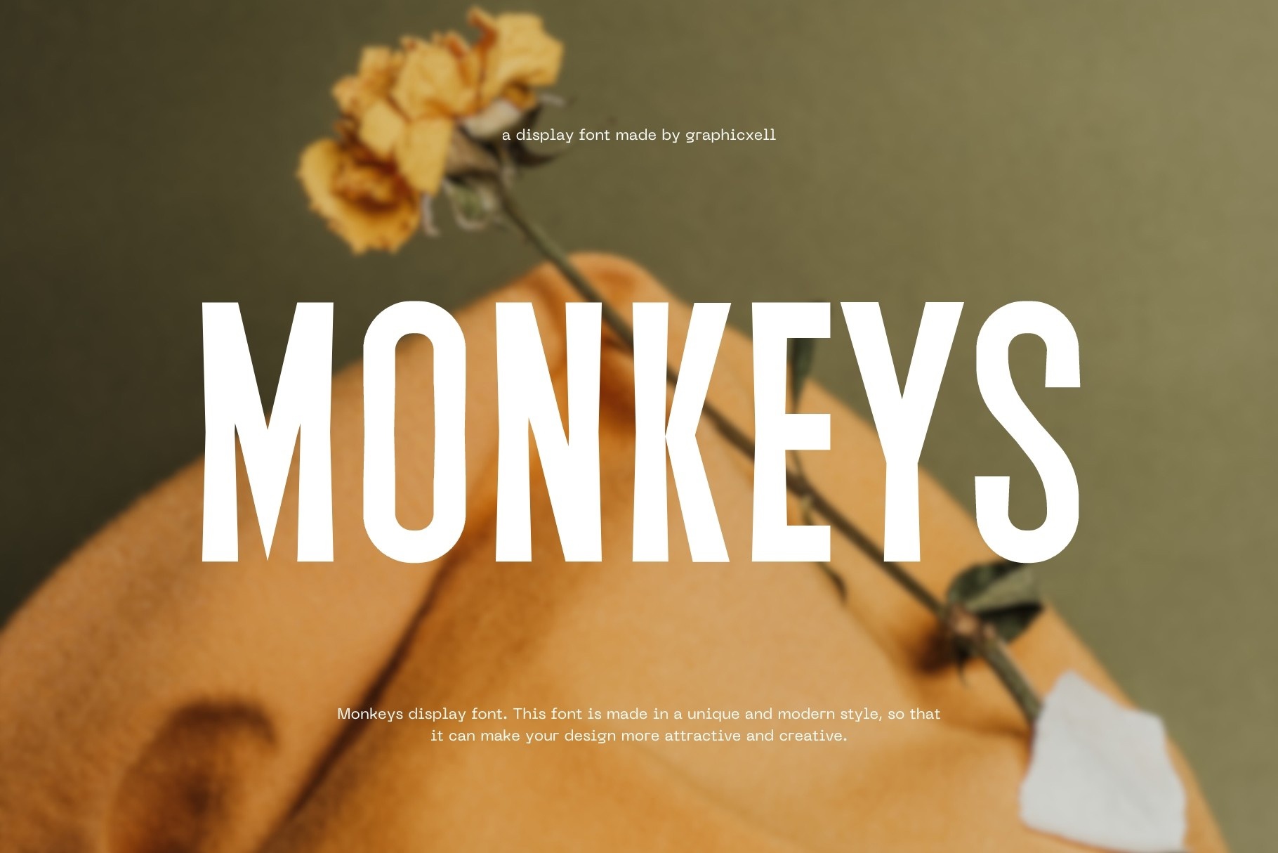 Пример шрифта Monkeys Regular