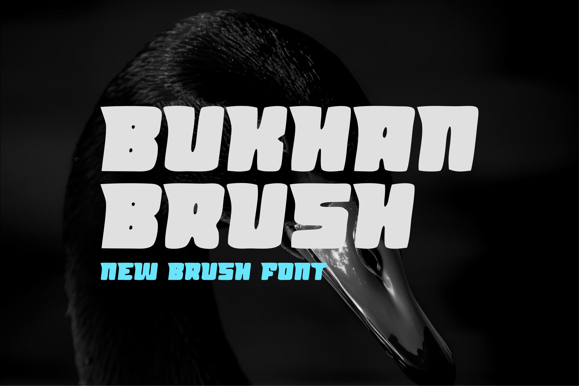 Пример шрифта Bukhan Brush