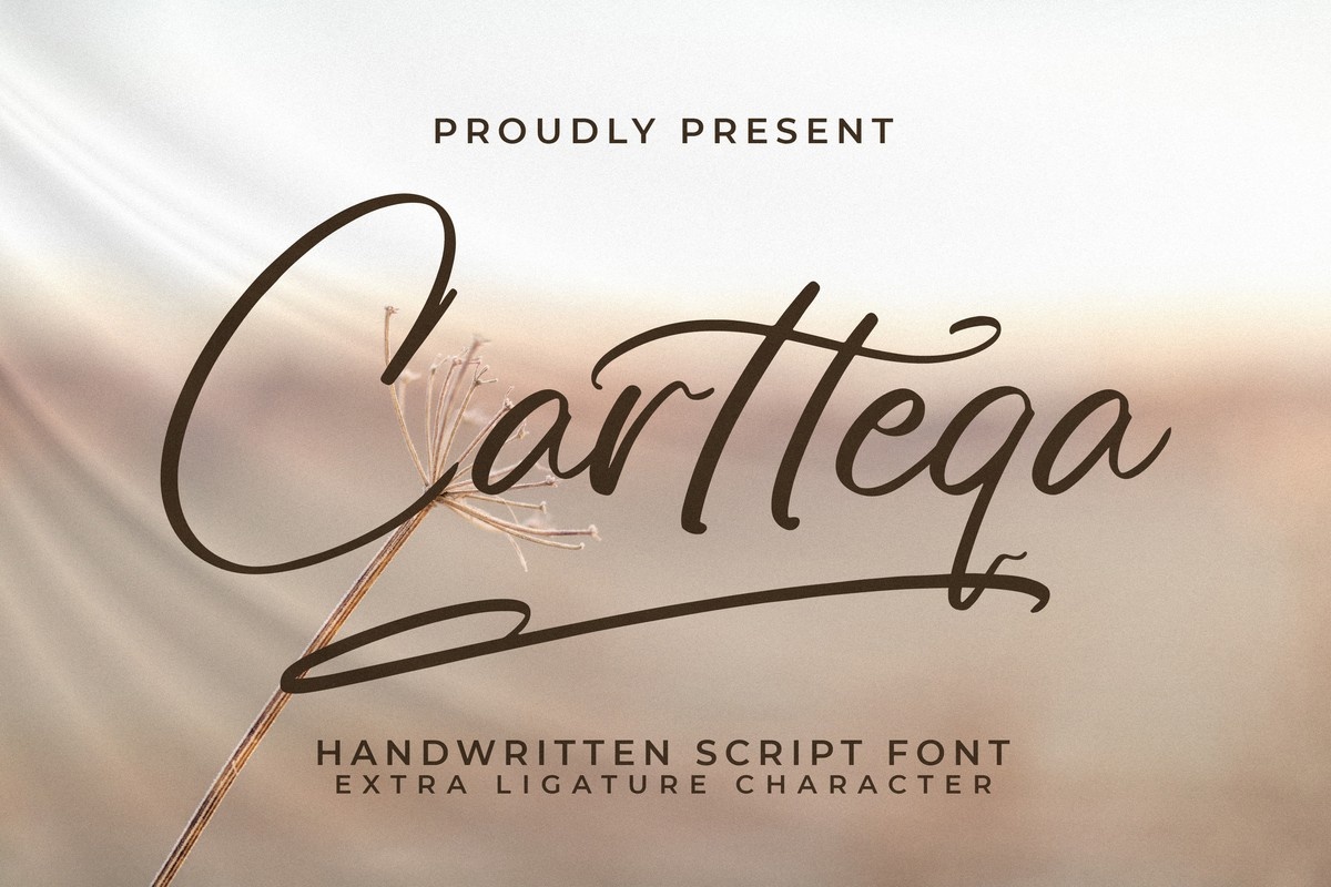 Пример шрифта Cartteqa Regular