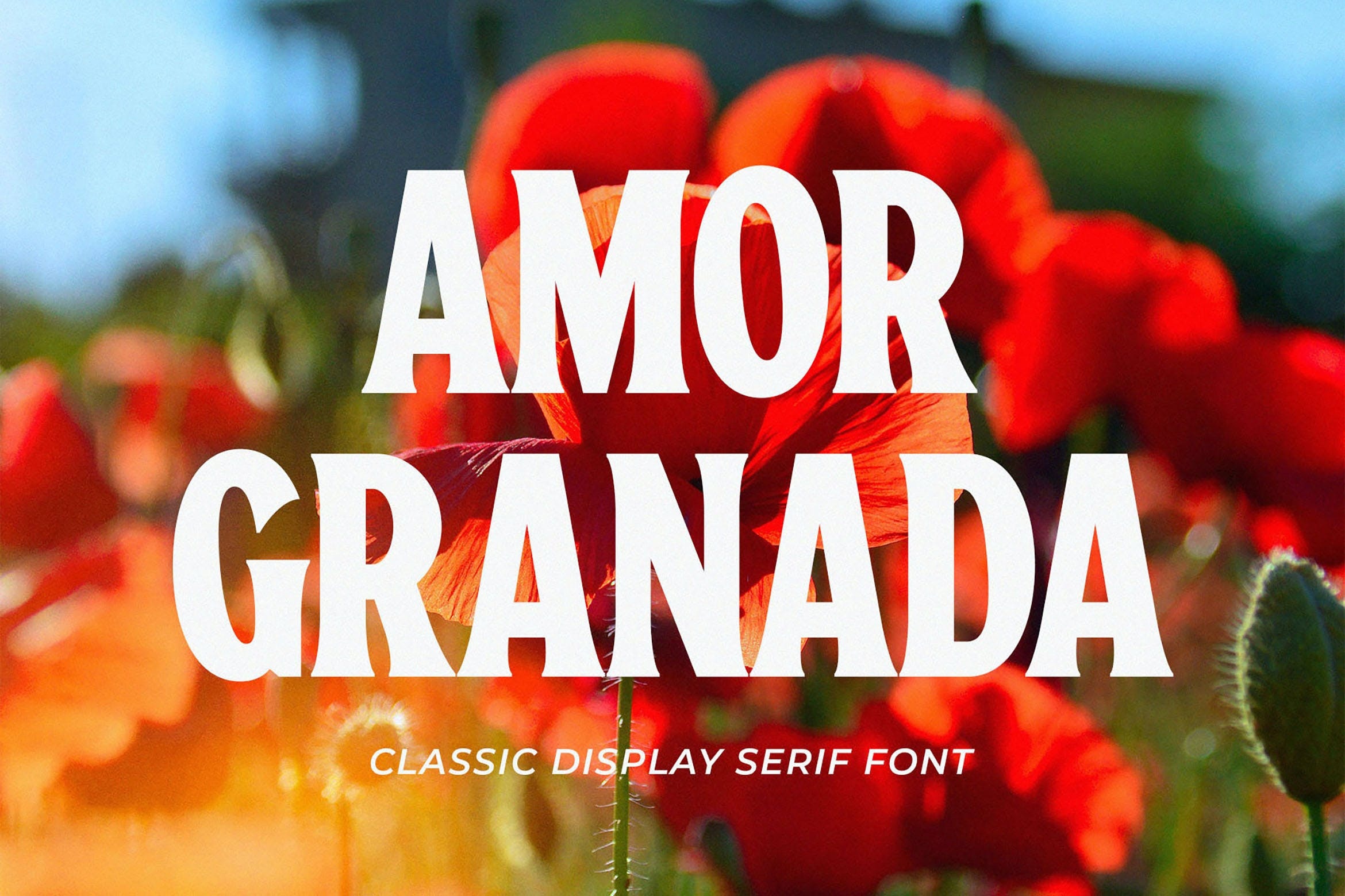 Пример шрифта Amor Granada Regular