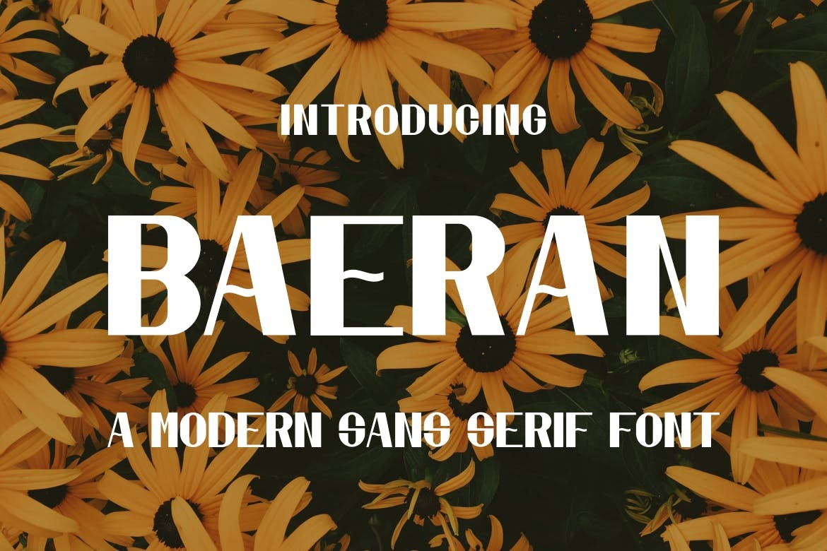 Пример шрифта Baeran