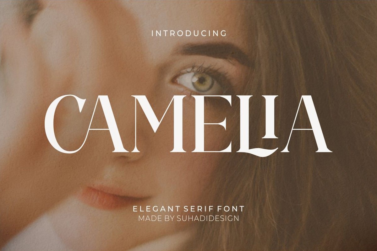 Пример шрифта Camelia