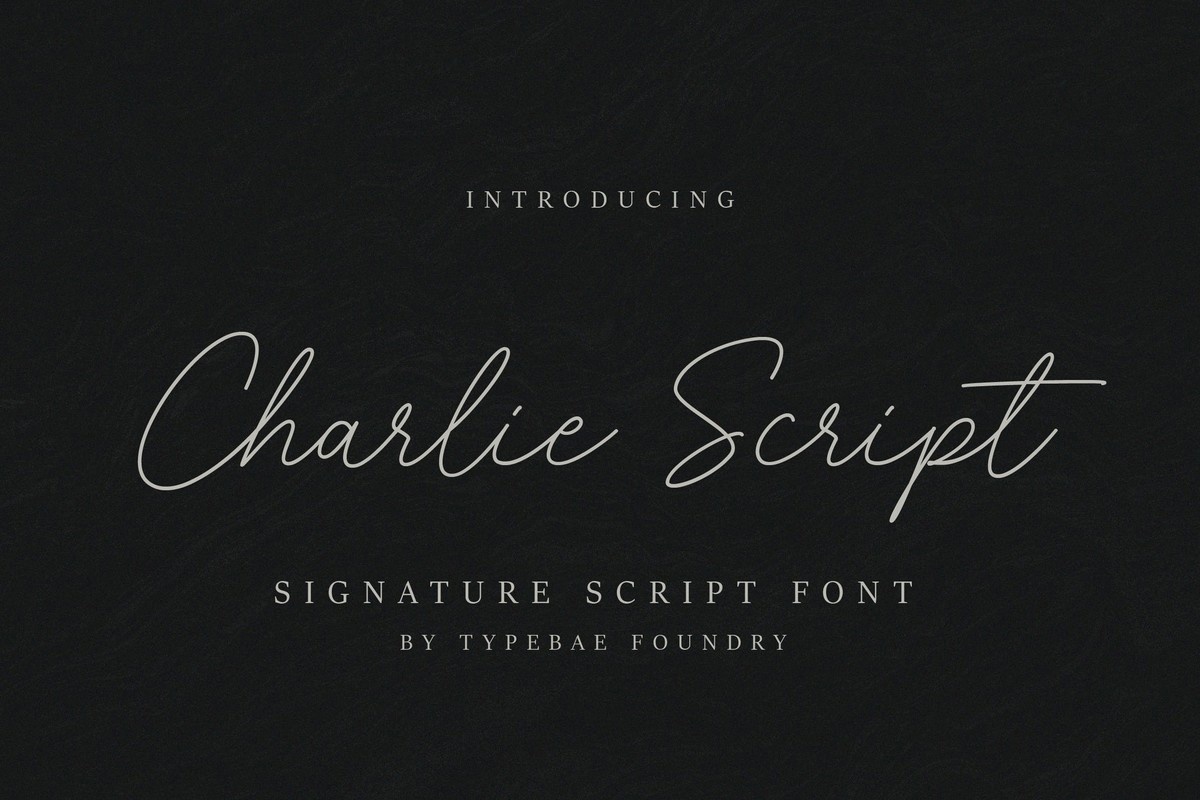 Пример шрифта Charlie Script