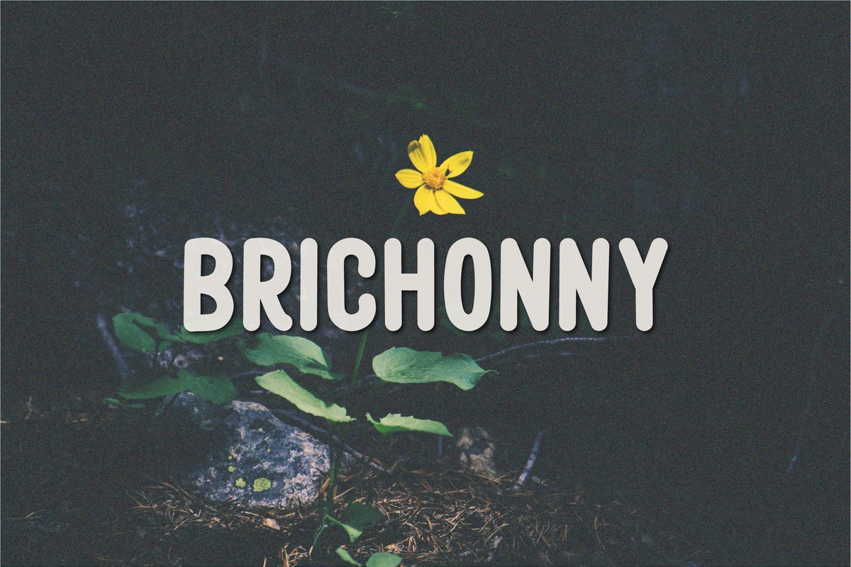 Пример шрифта Brichonny Regular