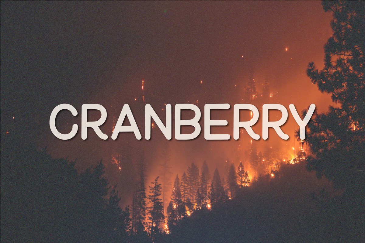Пример шрифта Cranberry
