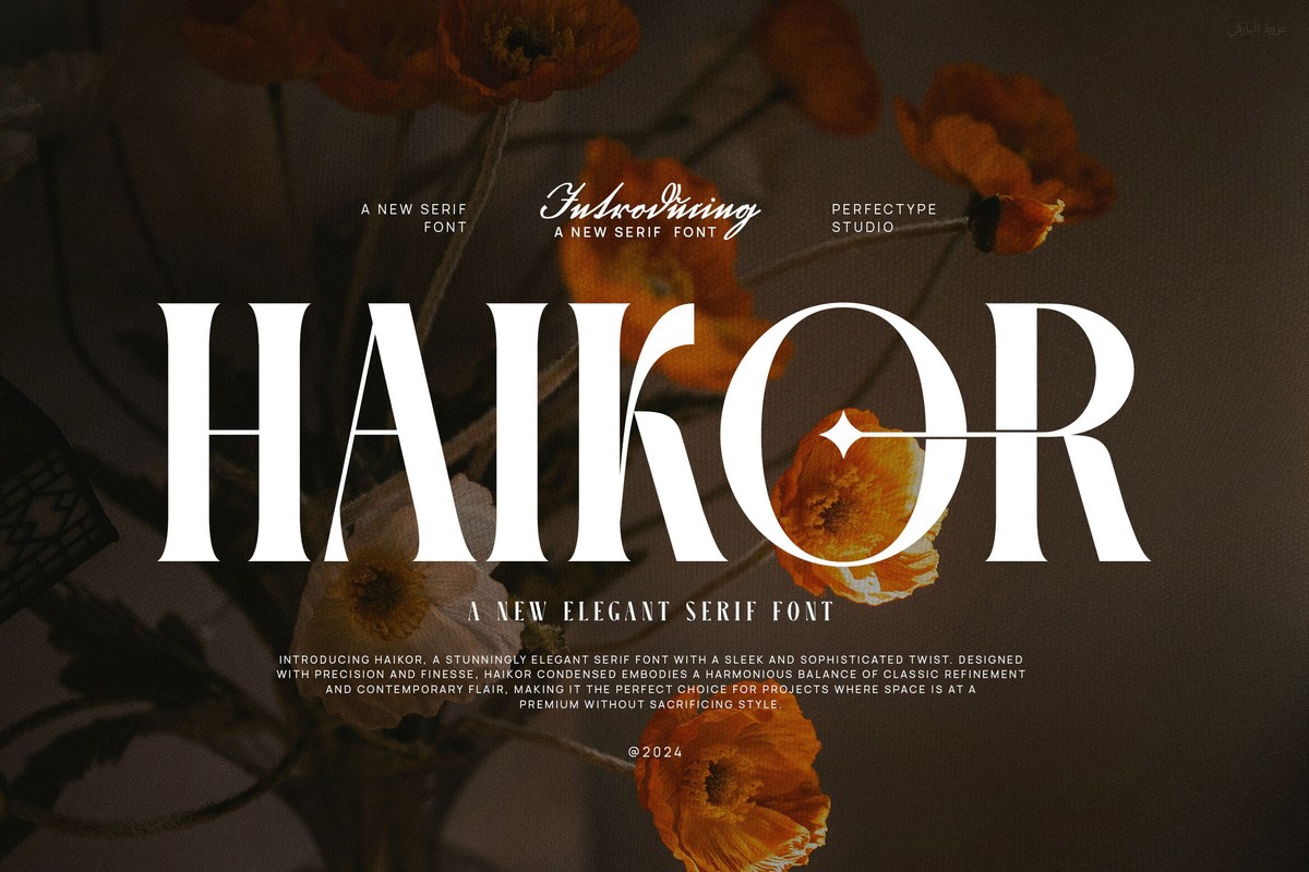 Пример шрифта Haikor Regular