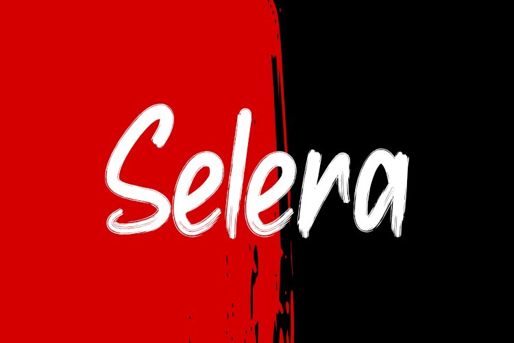 Пример шрифта Selera