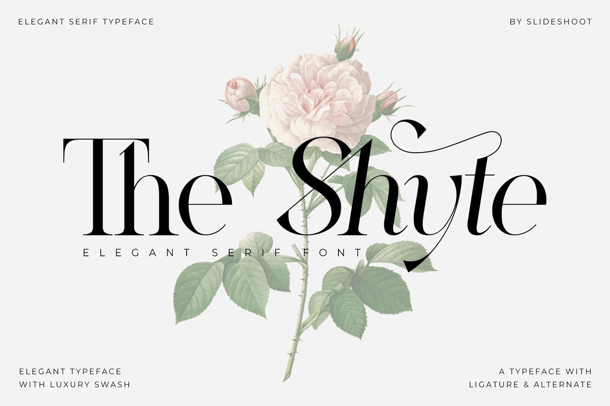 Пример шрифта The Shyte Italic