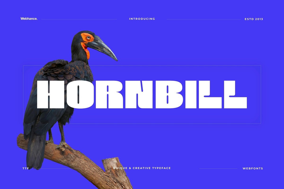 Пример шрифта Hornbill Display Bold