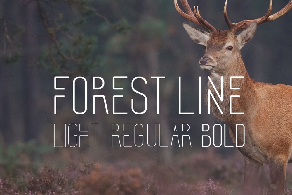 Пример шрифта Forest Line Light