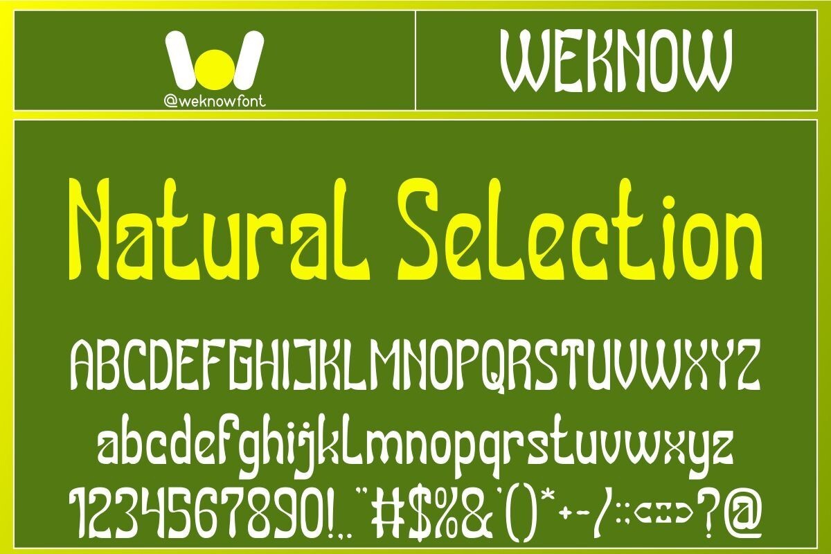 Пример шрифта Natural Selection Italic