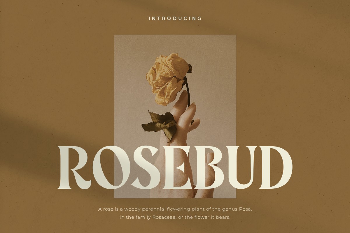 Пример шрифта Rosebud