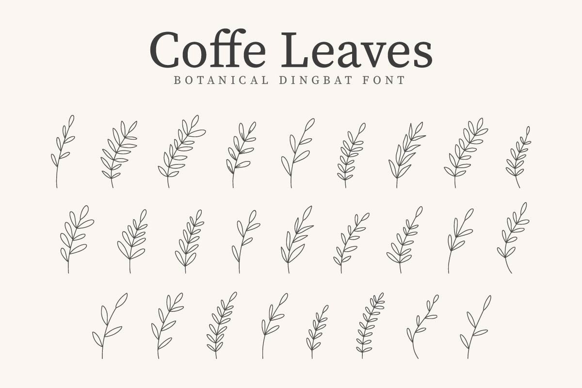 Пример шрифта Coffe Leaves