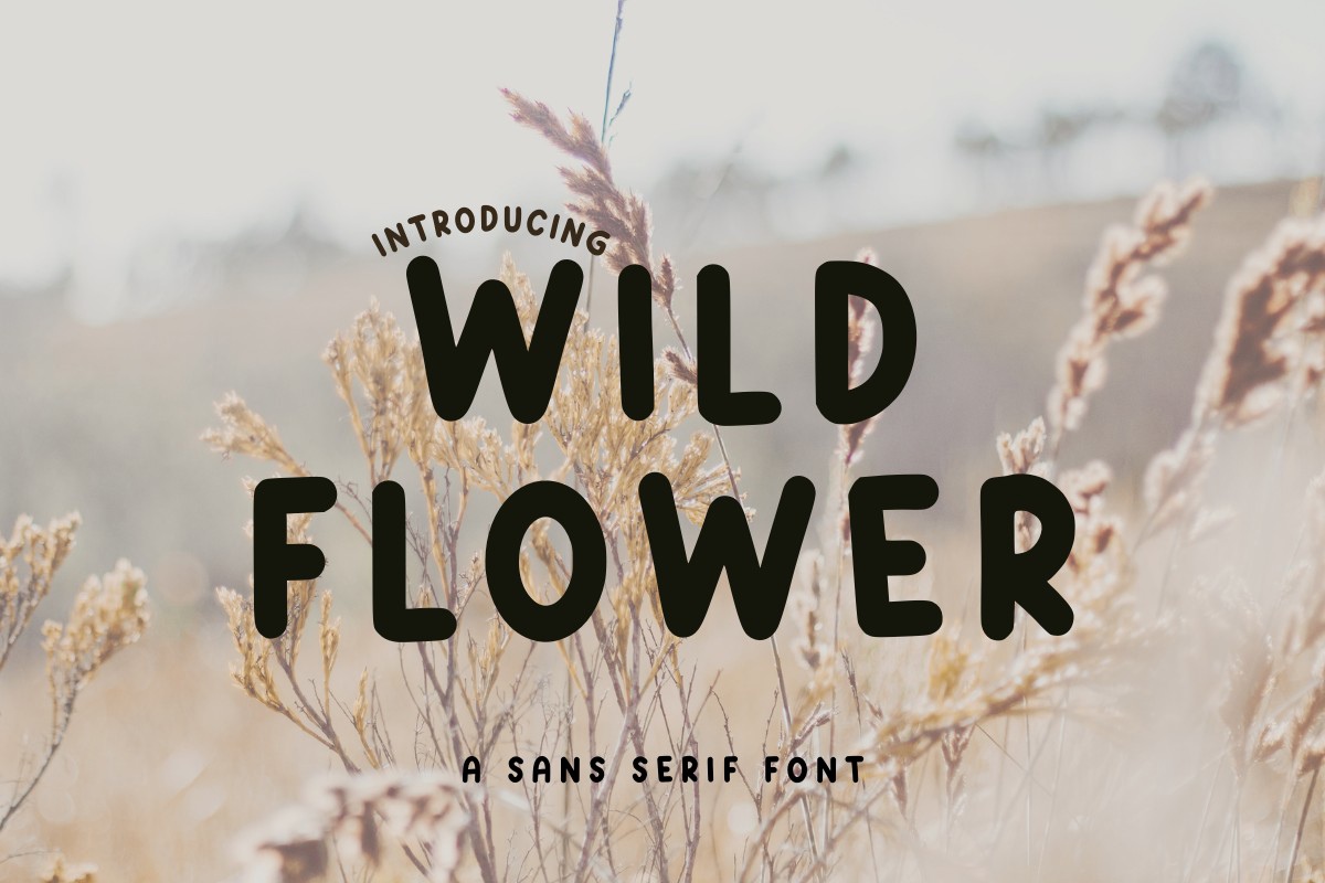 Пример шрифта Wild Flowe