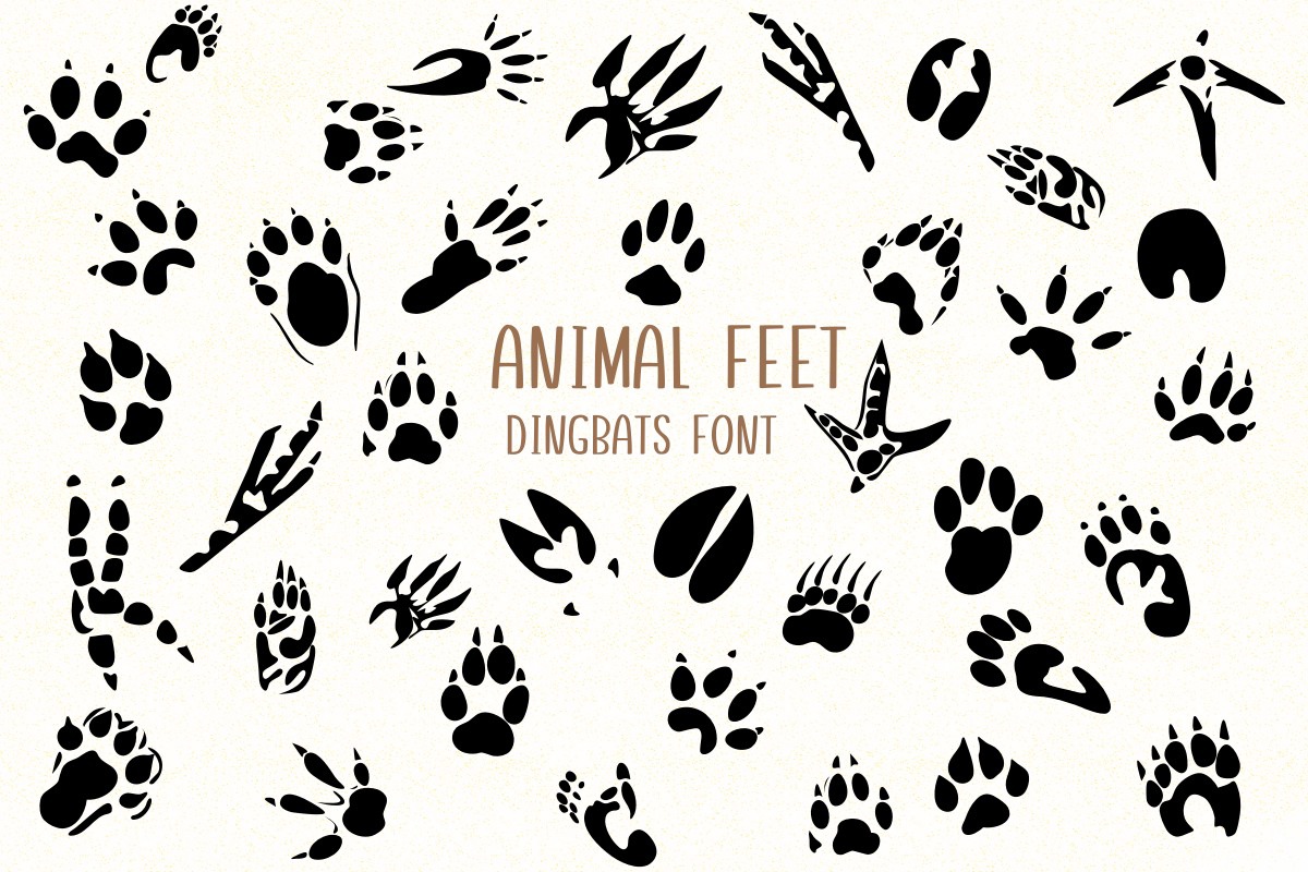 Пример шрифта Animal Feet Regular