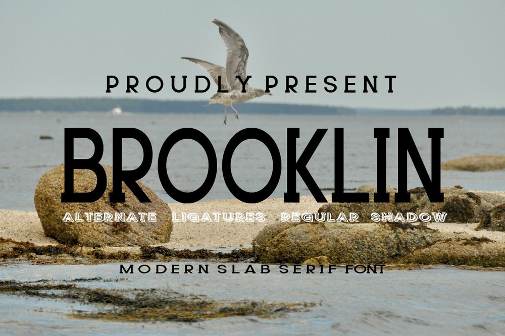 Пример шрифта Brooklin Regular