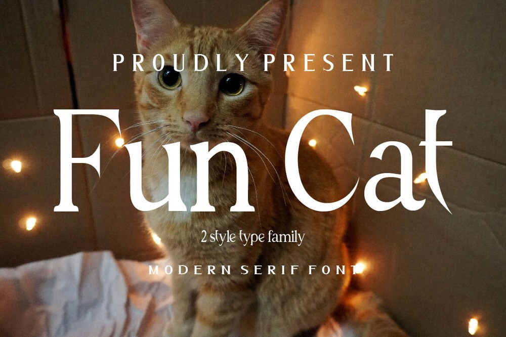 Пример шрифта Fun Cat