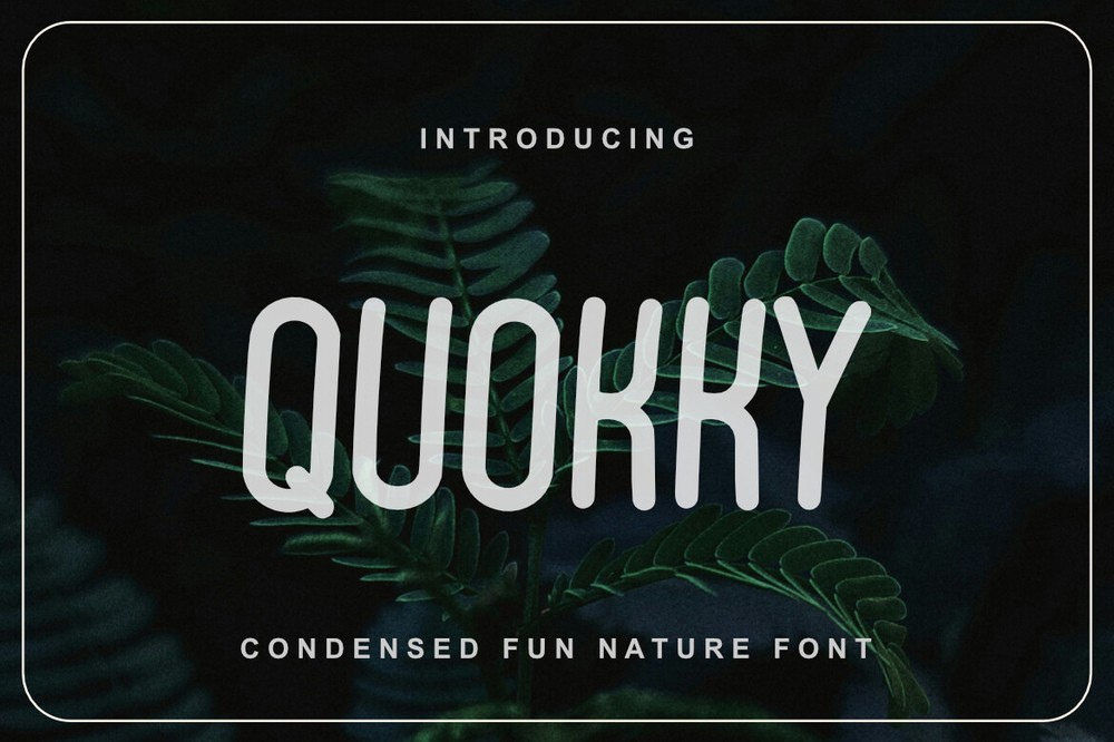 Пример шрифта Quokky Regular