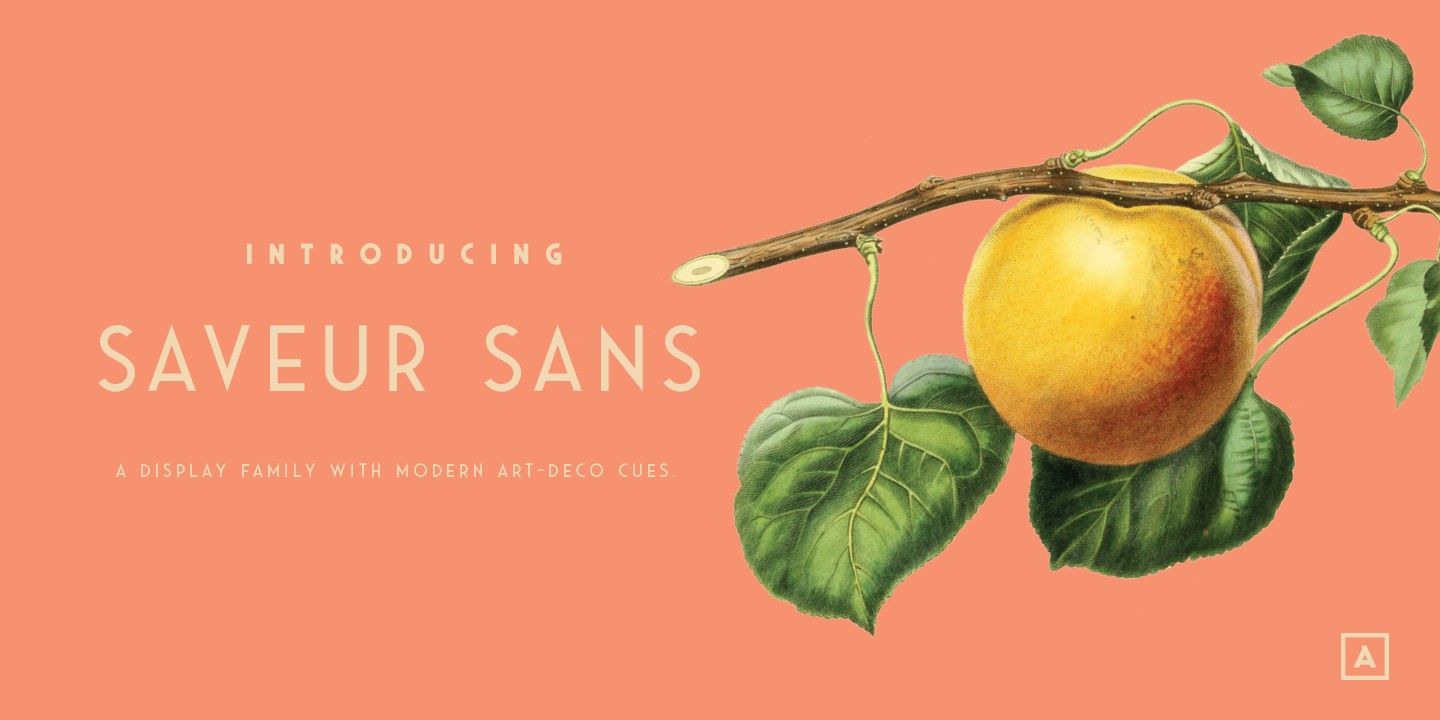 Пример шрифта Saveur Sans Bold