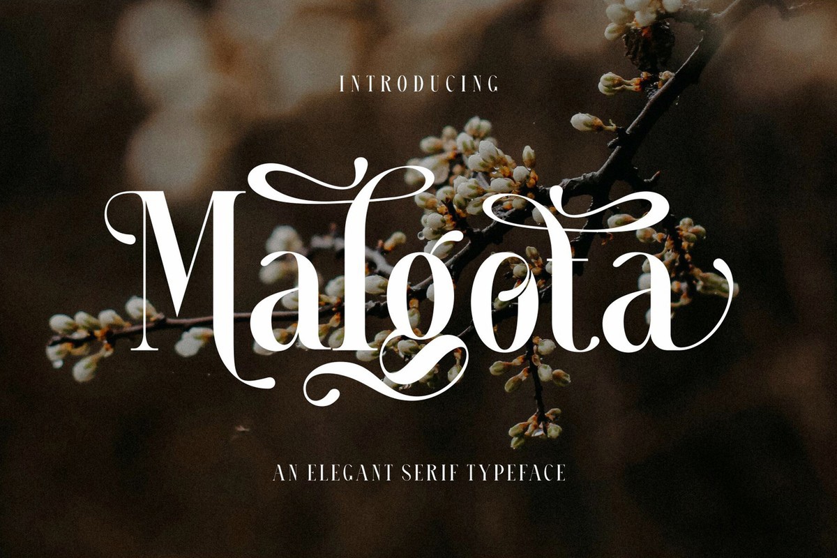 Пример шрифта Malgota Regular