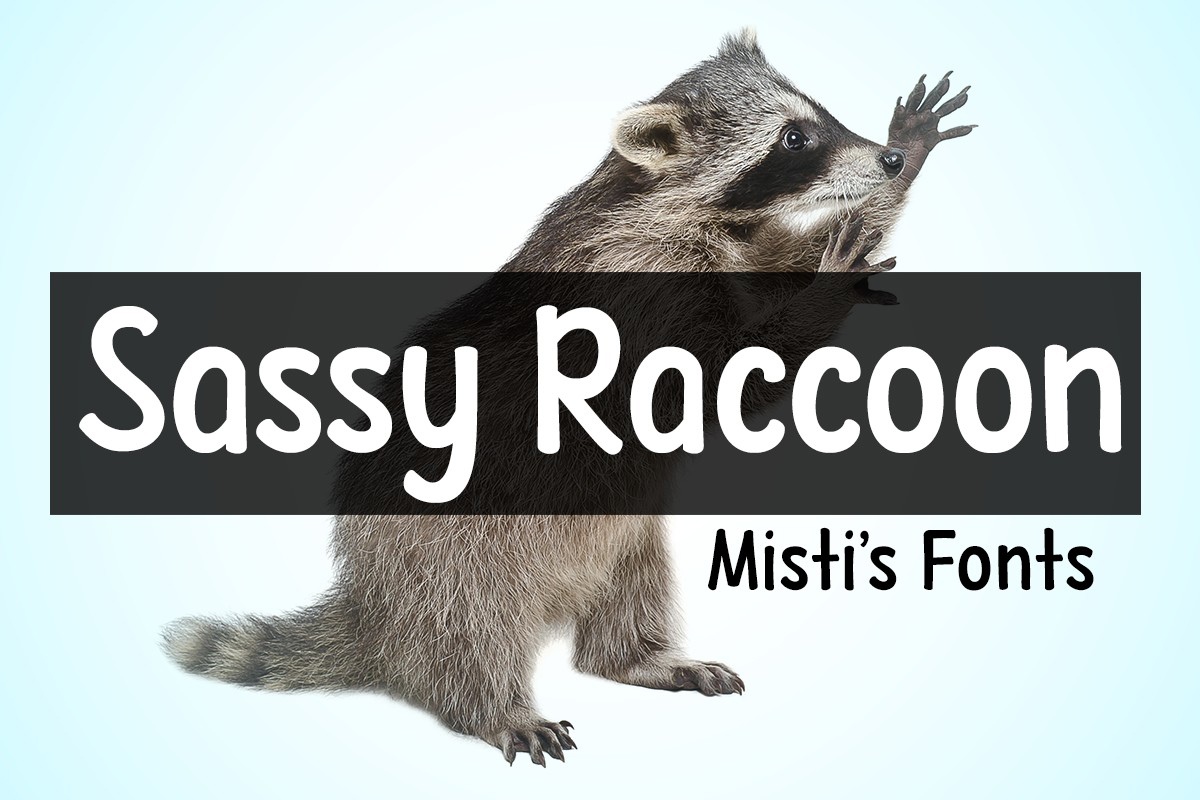 Пример шрифта Sassy Raccoon