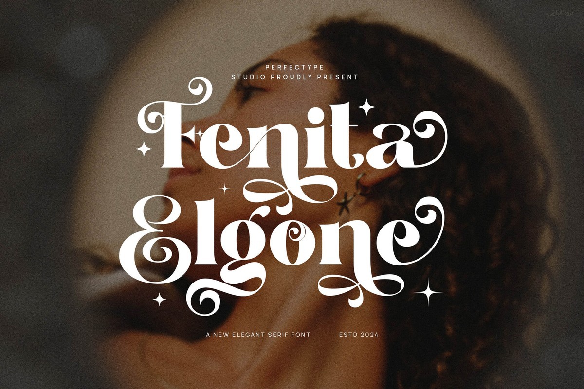 Пример шрифта Fenita Elgone