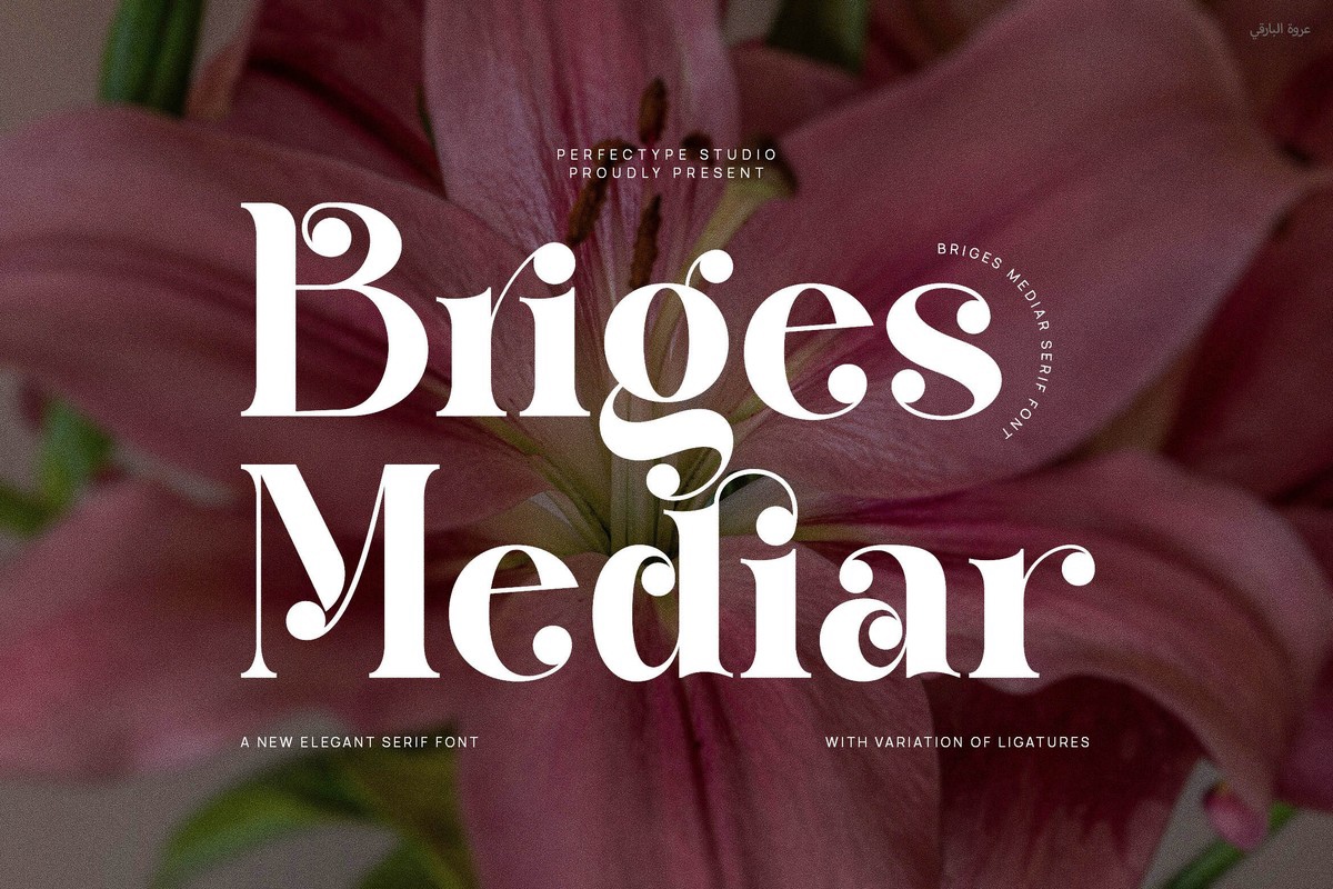 Пример шрифта Briges Mediar Regular