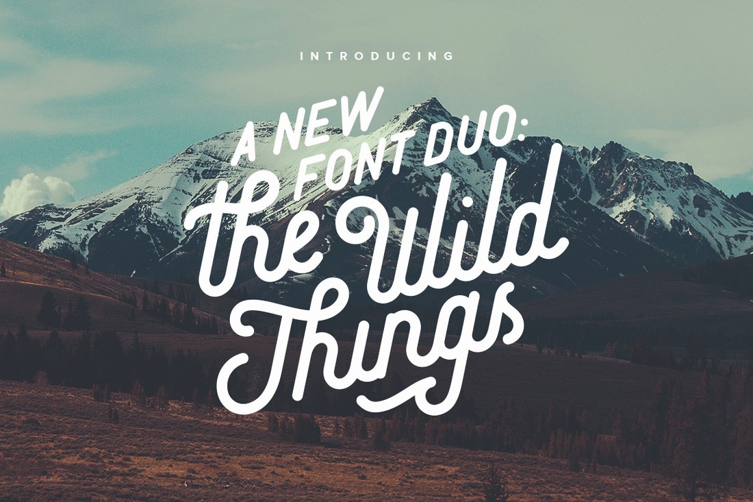 Пример шрифта The Wild Things Script Bold