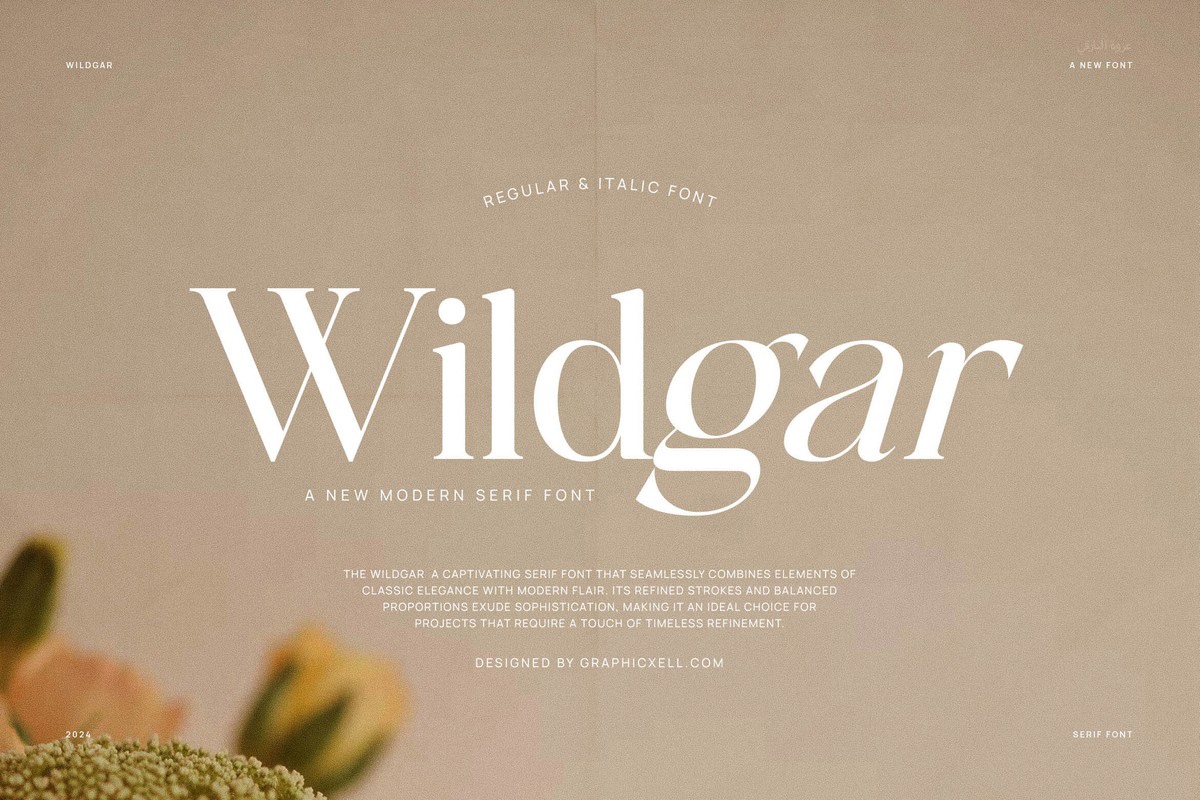 Пример шрифта Wildgar Italic