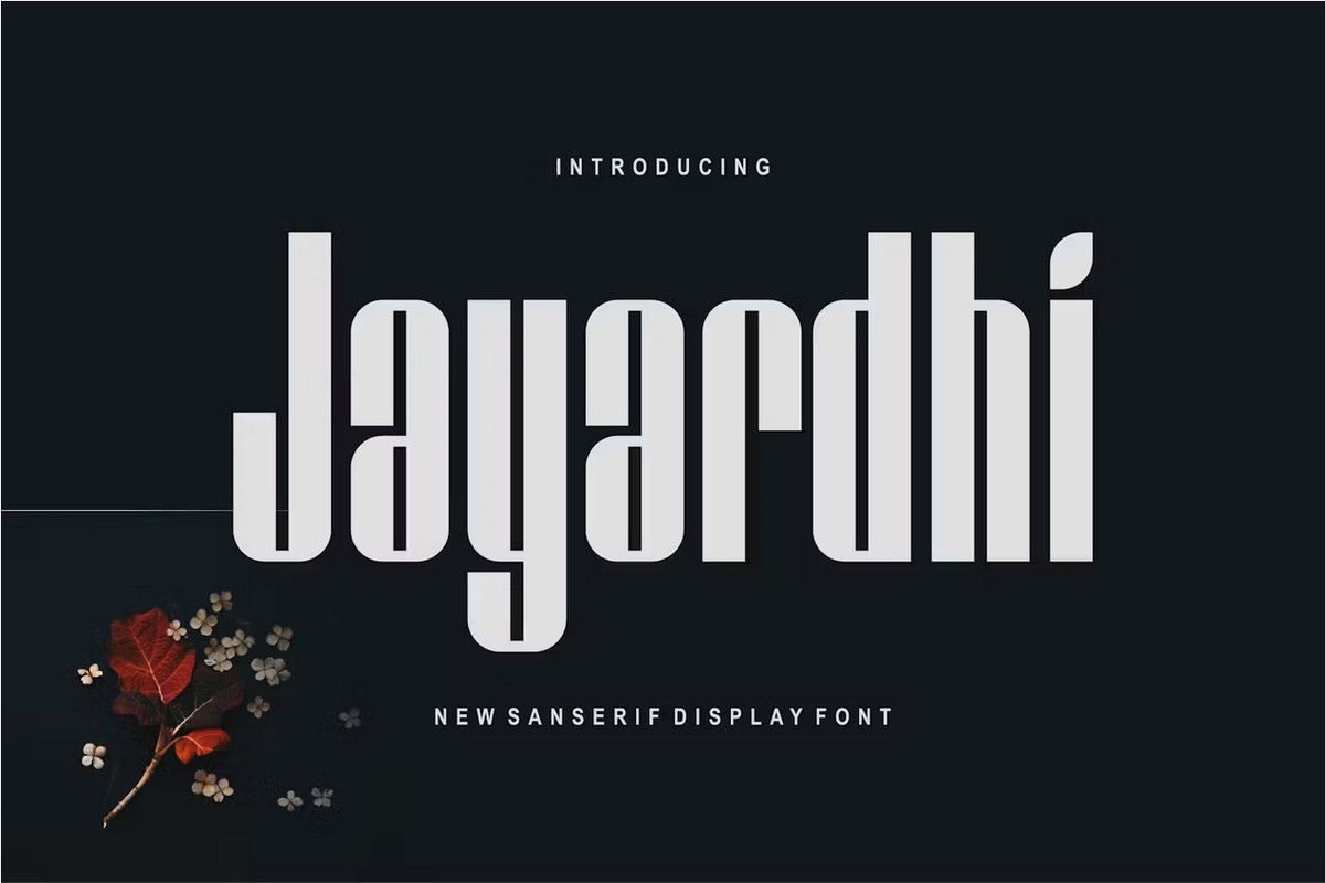 Пример шрифта Jayardhi Regular