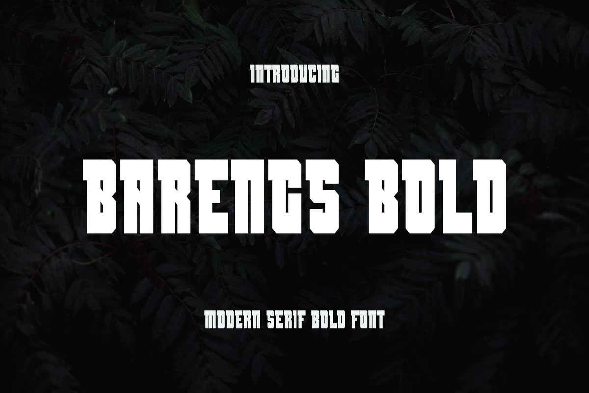Пример шрифта Barengs Bold