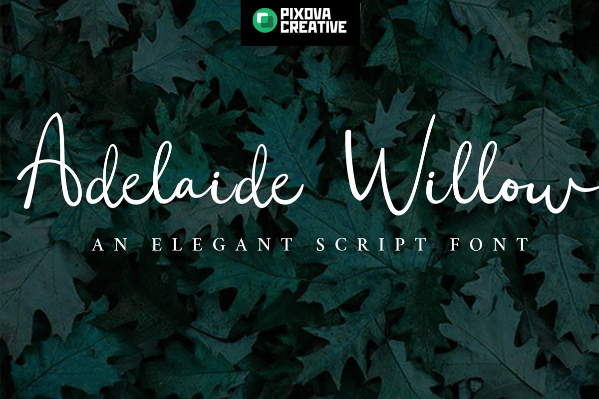 Пример шрифта Adelaide Willow Regular